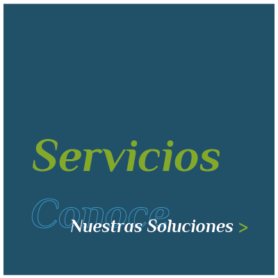 Servicios el espejo_nuestros servicios